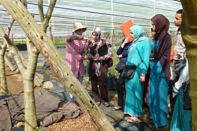 Sidi Bibi (formation monitrices - ferme)