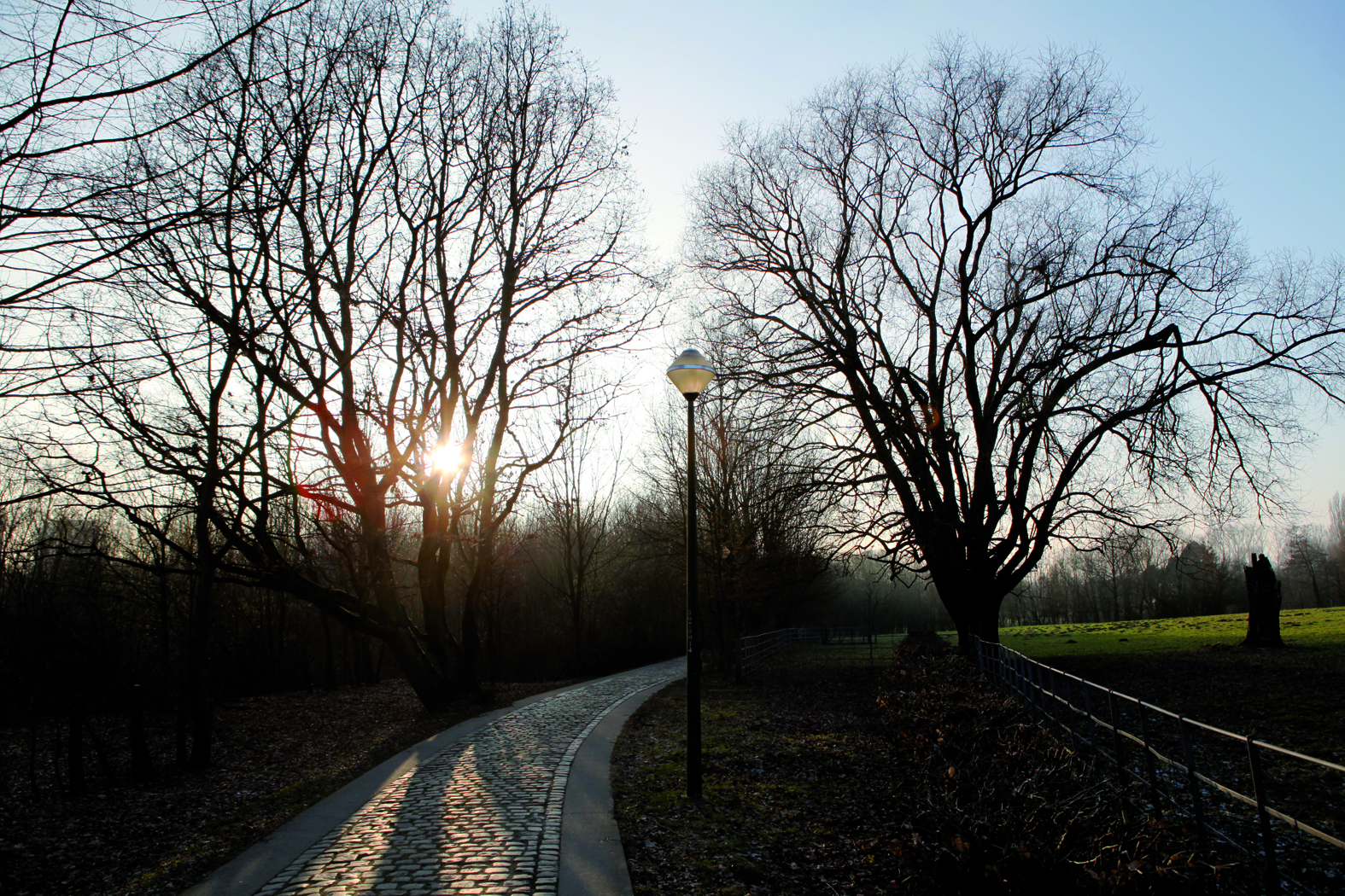 Bois du Laerbeek