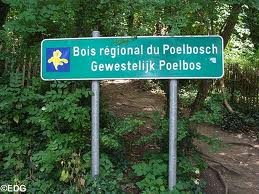 Bois du Poelbosch